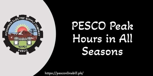 PESCO Peak Hours in All Seasons